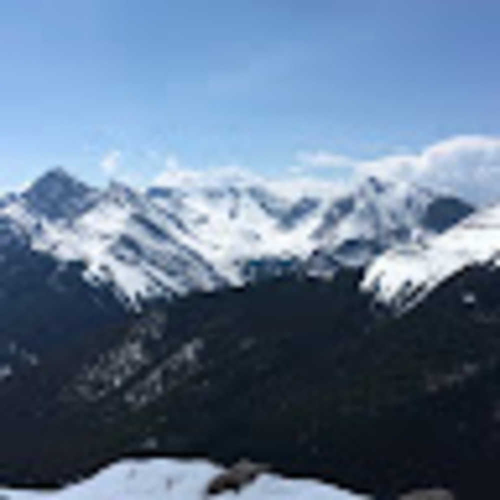 Meet your Posher, Claire